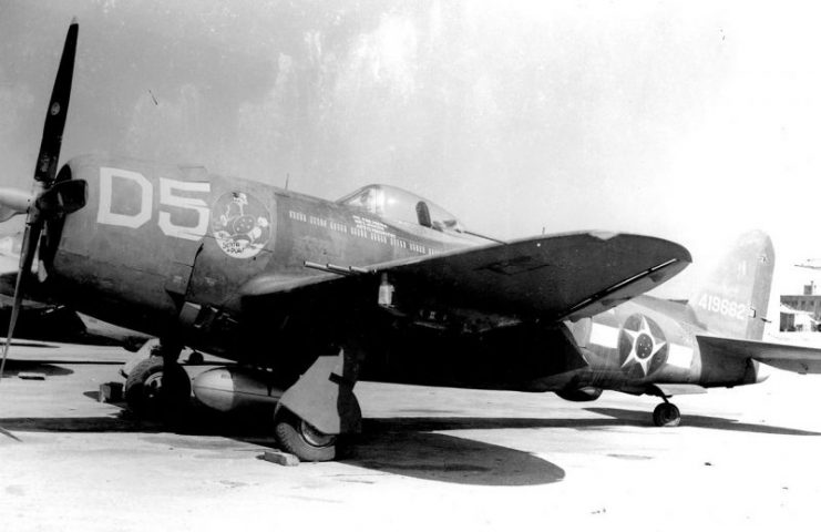 1oGAVCA P-47s carried the Senta a Pua emblem as nose art along with the Brazilian Air Force stars