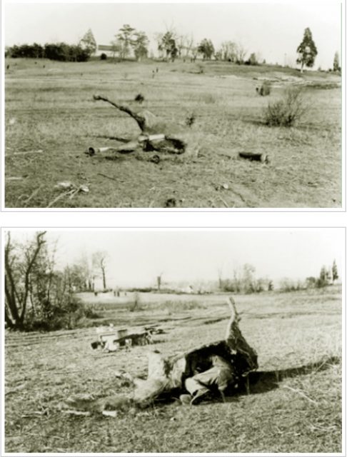 Pictured above are US Government photographs showing the same subject from two camera angles. The top photo appears to be the carcass of a dead horse on a World War I battlefield, but the bottom photo shows that it is only a papier mâché simulation of a horse carcass, with a sniper hidden inside.