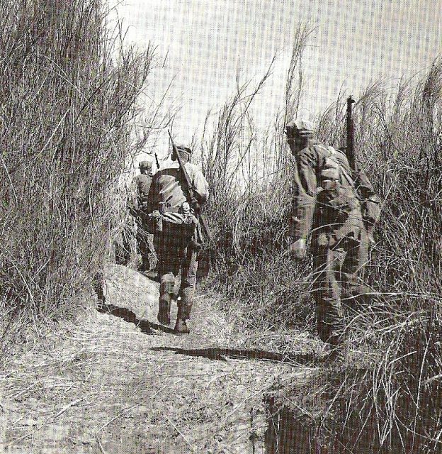 U.S. Rangers behind Japanese lines on their way to rescue prisoners from the Cabanatuan Prison Camp in the Philippines.