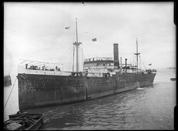 Efforts were made to pump oil from SS El Grillo in 1952 and 2001, but the leaking has continued intermittently.