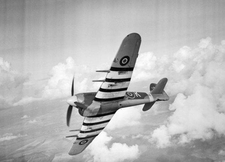 A Hawker Typhoon Mk IB of No. 486 Squadron RAF in flight, in 1943