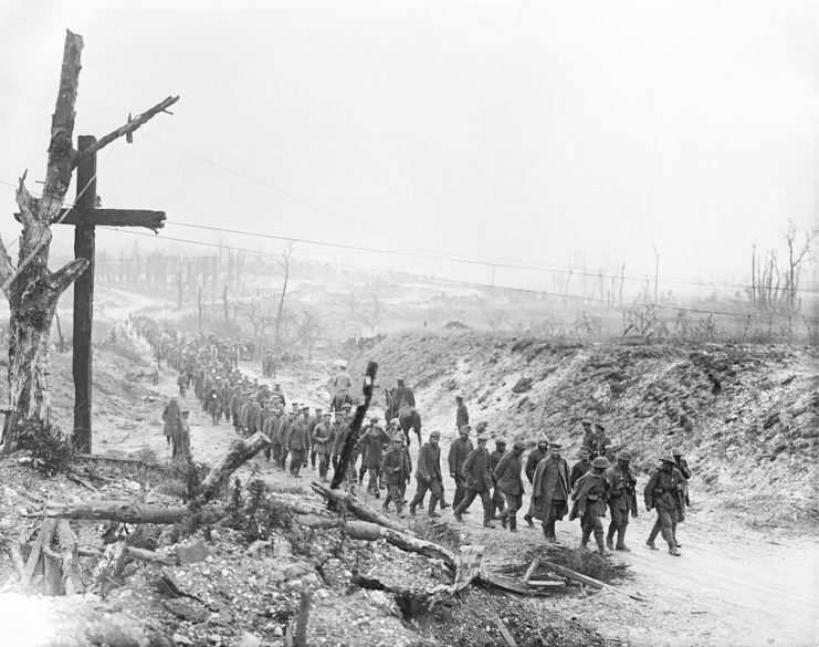 A long line of German prisoners being marched into Fricourt.