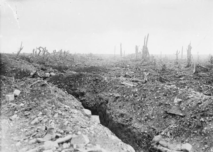 The badly shelled main road to Bapaume through Pozieres, showing a communication trench and broken trees