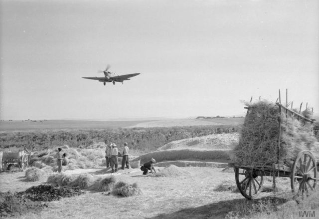 The first Royal Air Force Supermarine Spitfire lands at an airfield, converted from a wheat field, watched by Sicilian farmers who are working on the harvested wheat. [© IWM (CNA 1098)]