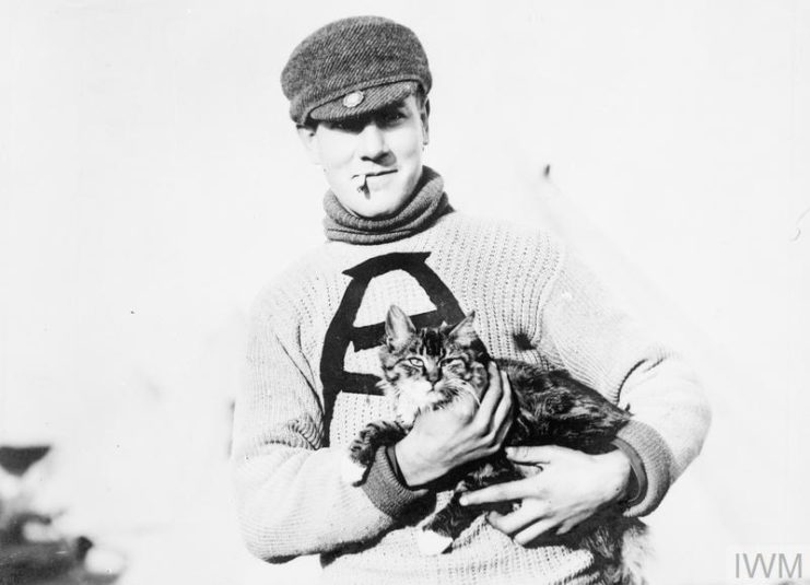 Canadian soldier holding a cat