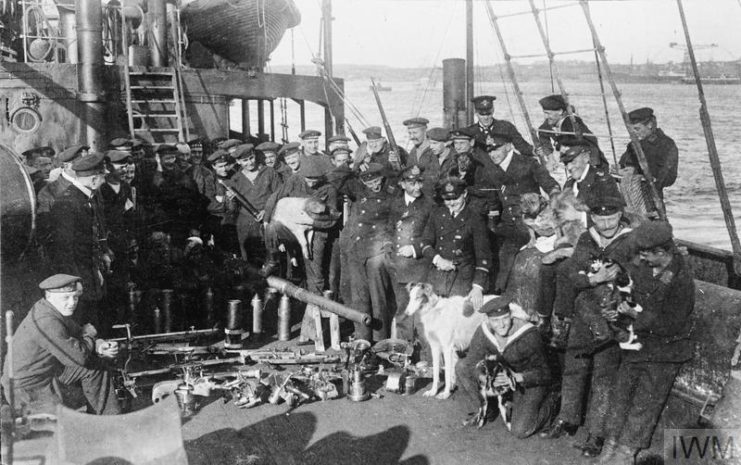 Ship's crew standing with a pig, a cat, dogs and a goat