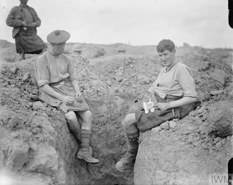 Two soldiers sitting on the ground with a cat sitting in one of their laps