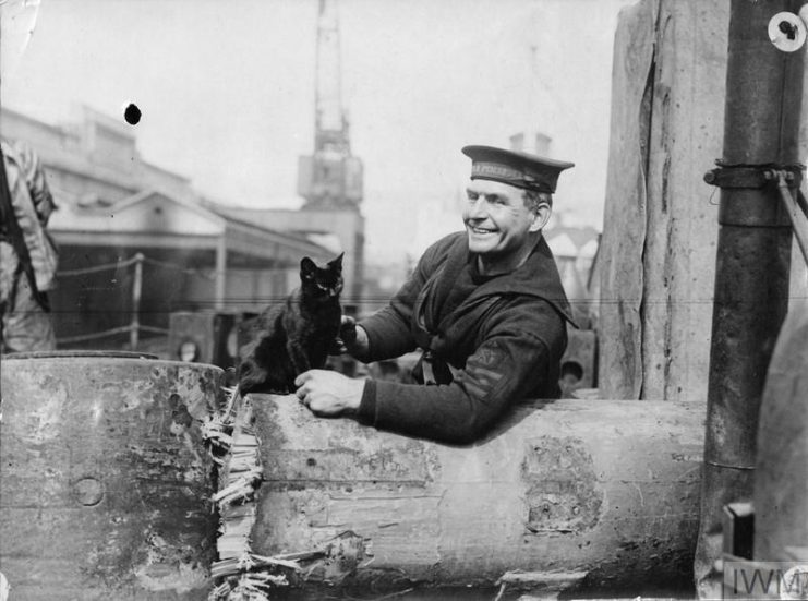 Naval Petty Officer standing next to a black feline