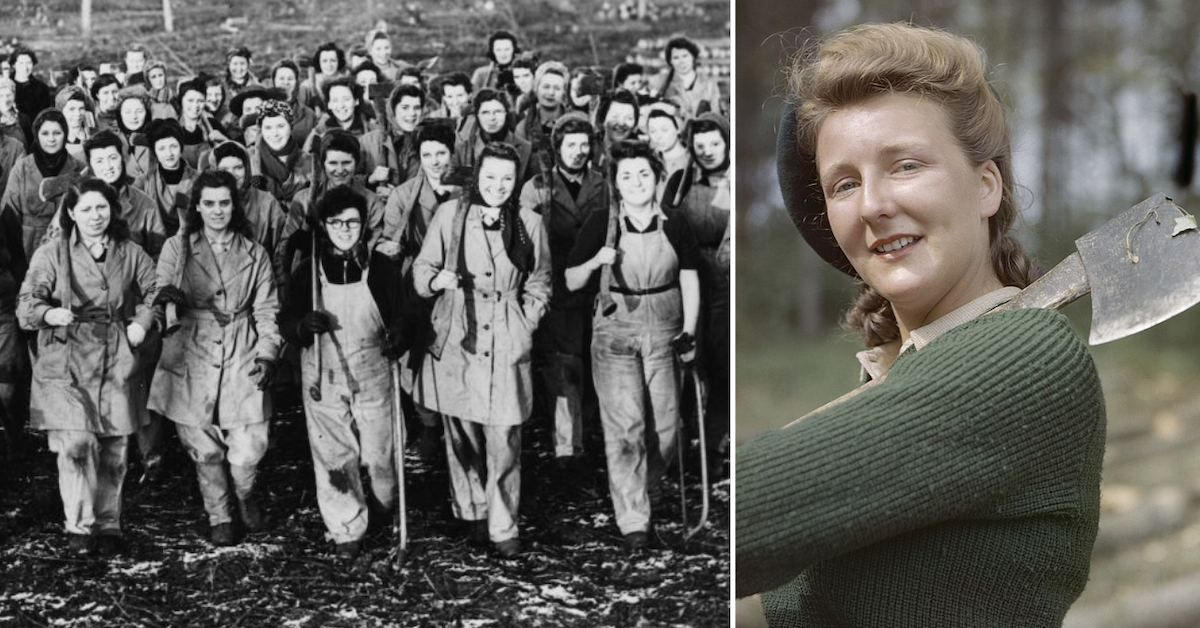 Remembering the lumberjills of World War Two: Women's Timber Corps founded  80 years ago - Forestry Journal