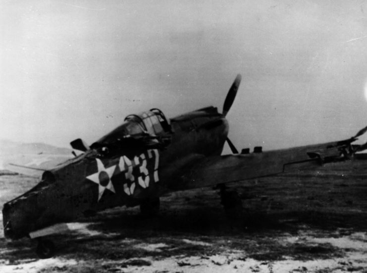 downed P-40 plane