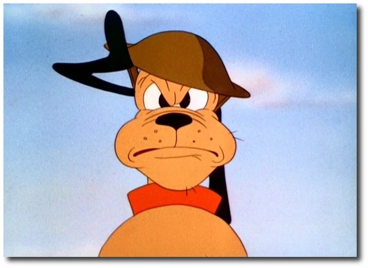Private Pluto