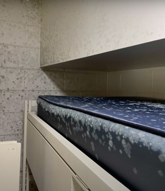 Blue mattress covered in mold at Camp Lejeune