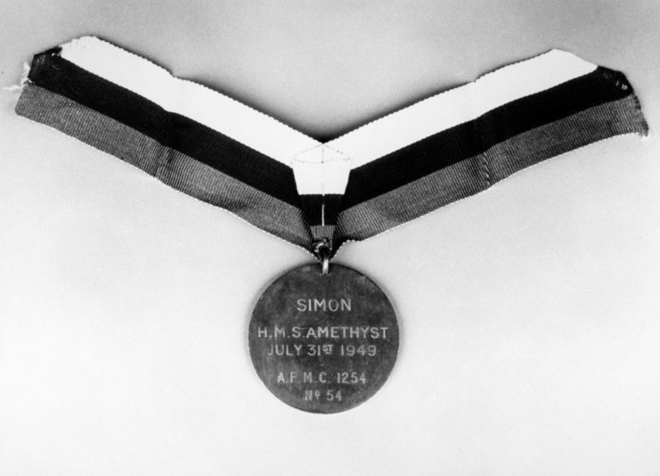 Simon The Cat Medal