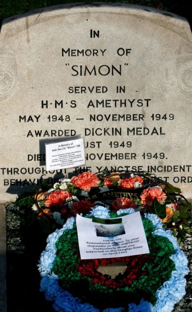 Simon the Cat Tombstone