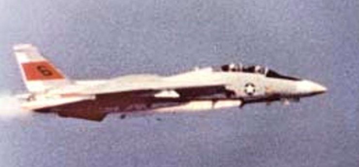 F-14 Tomcat that shot itself down