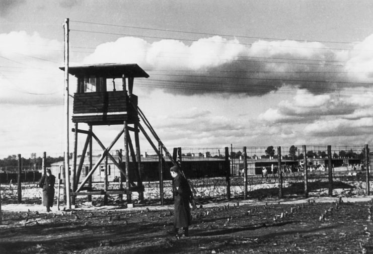 Stalag Luft III