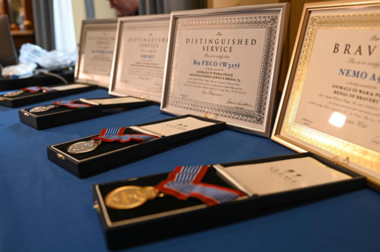 Animals in War & Peace Distinguished Service Medals displayed on a table