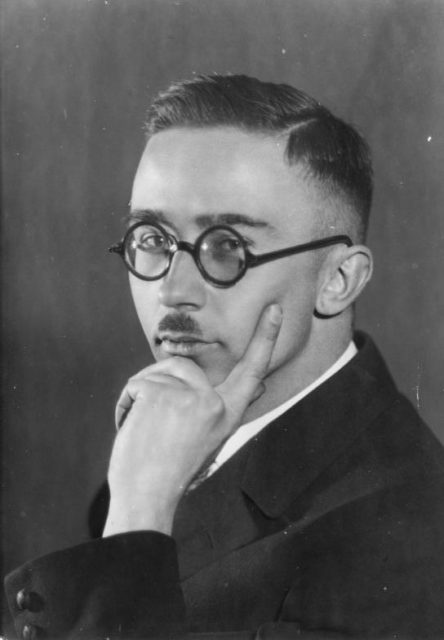 Portrait of Heinrich Himmler