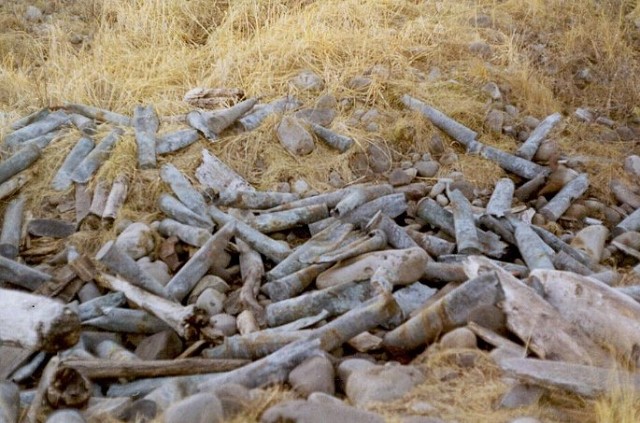 90mm WW2 ammunition casings – Bering Sea sideJan 1972. Source: http://www.navycthistory.com/wheeler_adak_page3i.html