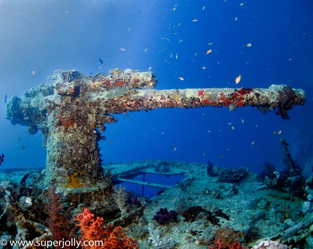 SUPER JOLLY thistlegorm stern gun