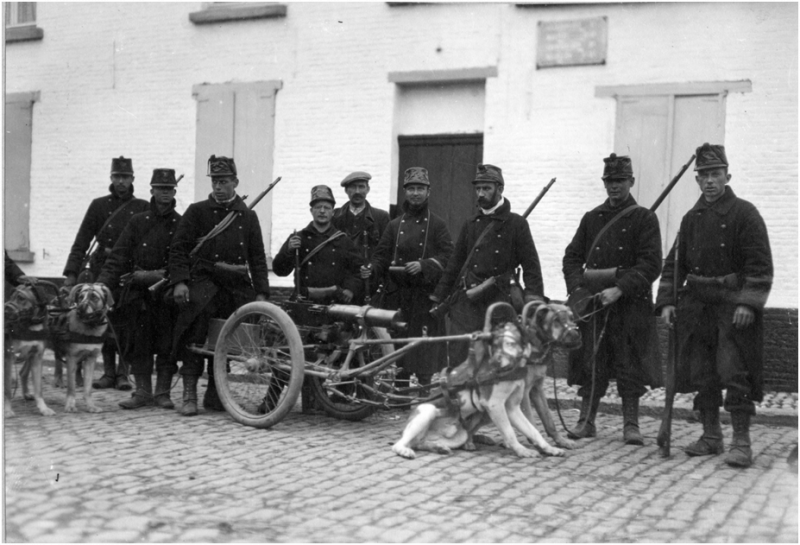 An icon of the Belgian Army in WWI, the Dog Cart