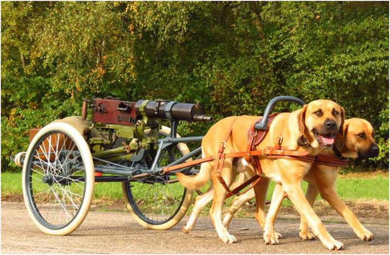 An icon of the Belgian Army in WWI, the Dog Cart