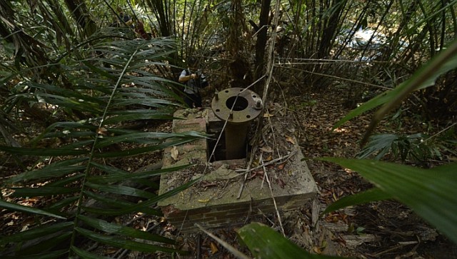part of the Marsiling Tunnels hidden among the jungle. These tunnels were used by the British and then the Japanese forces during WWII. (Photo: ST Braking News/Desmond Foo)