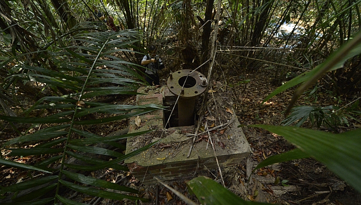 part of the Marsiling Tunnels hidden among the jungle. These tunnels were used by the British and then the Japanese forces during WWII. (Photo: ST Braking News/Desmond Foo)