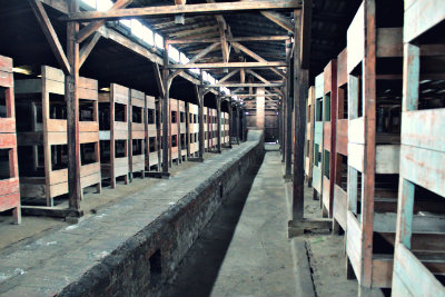 Visitors etch their names onto the bunks found in Auschwitz Museum, the same ones where Holocaust prisoners used to sleep in.