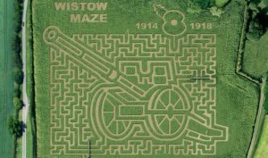 corn maze