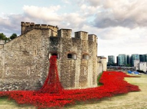 ceramic poppies