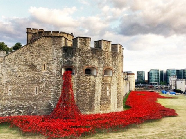 ceramic poppies