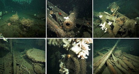 HMS pathfinder wreckage