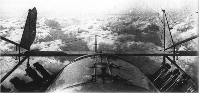 Conflict in the sky during WWI (18)