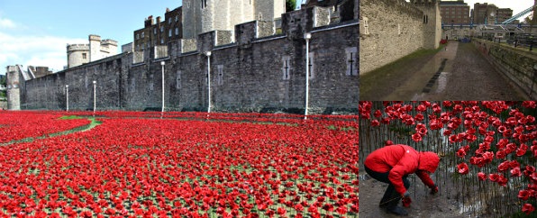 Removal of the ceramic poppies from the moat of the Tower of London