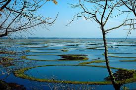 Loktak Lake