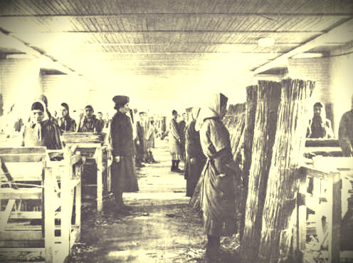 Romani Gypsies were just some of the many diverse women inmates of Ravensbruck.