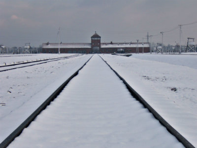 Auschwitz Snow