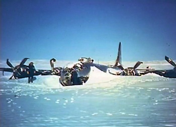 1993 photo of Kee Bird, buried in snow.
