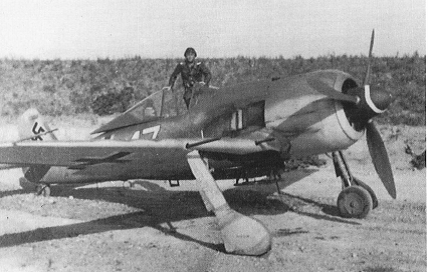 Karl Grabmair in his FW190 A-8