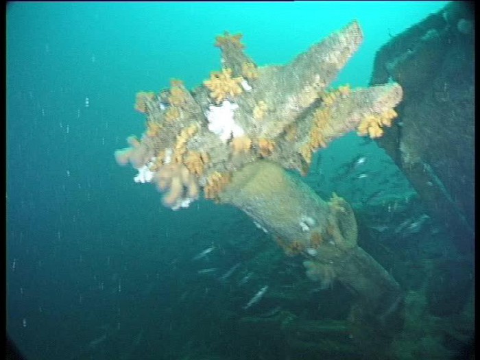 U-Boat Hunter Innes McCartney: The Discovery of U1003 | War History Online