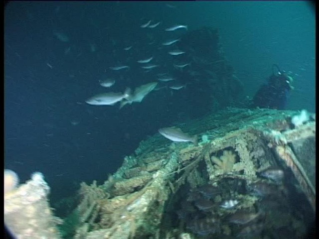 Foredeck largely intact with conning tower in the distance. Greg crawling along the wreck towards me. By now, the current was running really quickly (Innes McCartney).