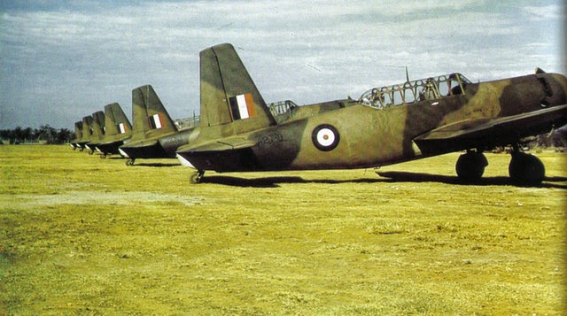 Aircraft of the R.A.F. and S.A.A.F. during World War II (14)
