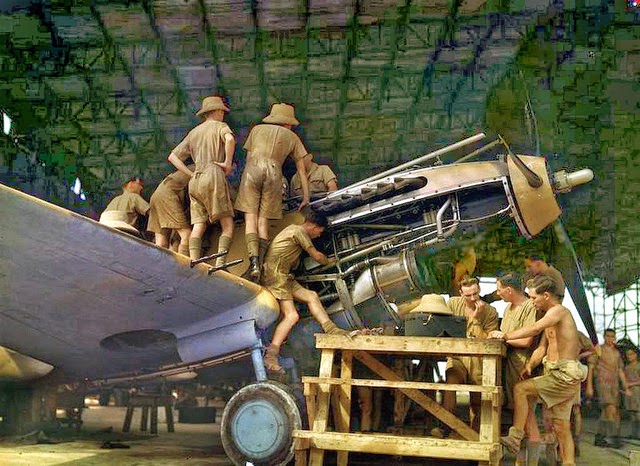 Aircraft of the R.A.F. and S.A.A.F. during World War II (2)