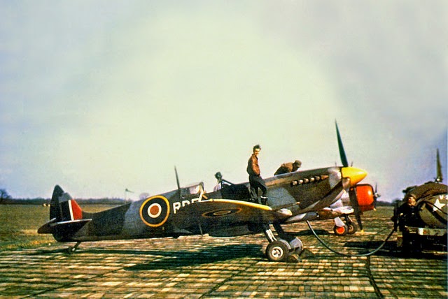 Aircraft of the R.A.F. and S.A.A.F. during World War II (20)