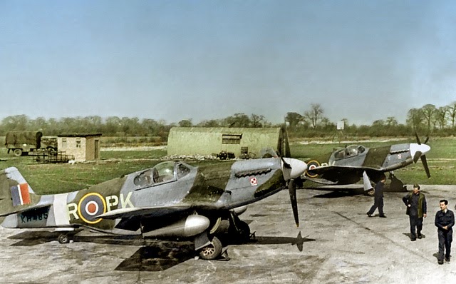 Aircraft of the R.A.F. and S.A.A.F. during World War II (21)