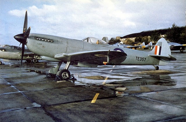 Aircraft of the R.A.F. and S.A.A.F. during World War II (3)