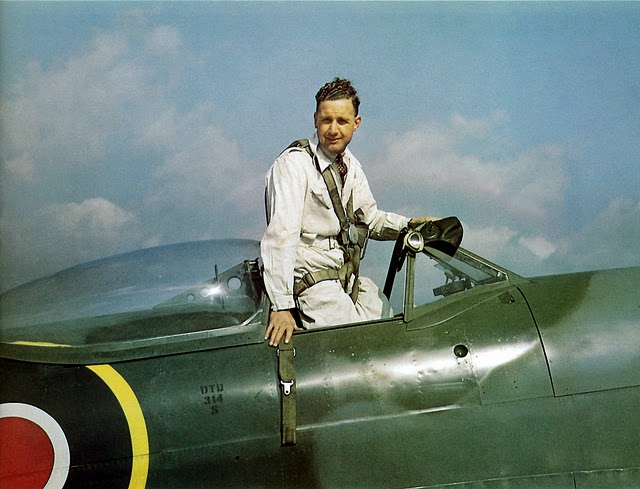 Aircraft of the R.A.F. and S.A.A.F. during World War II (30)