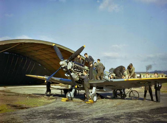 Aircraft of the R.A.F. and S.A.A.F. during World War II (31)