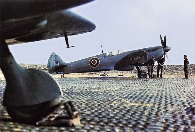 Aircraft of the R.A.F. and S.A.A.F. during World War II (4)